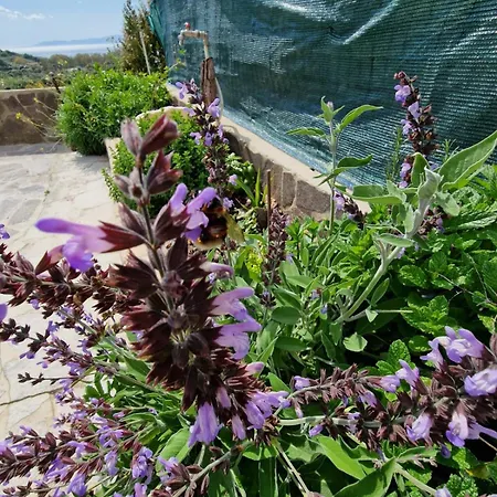 Willa Quattro Archi Marongiu