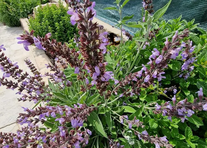 Quattro Archi Marongiu